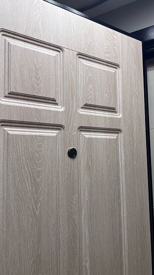 Входная дверь  